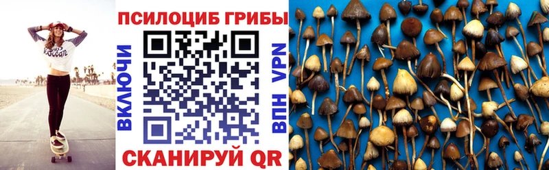 цена наркотик  Новоульяновск  Галлюциногенные грибы Cubensis 